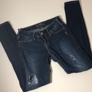 Silver Jeans suki jegging